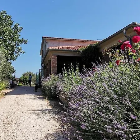 House Olly Holiday home Rovinj
