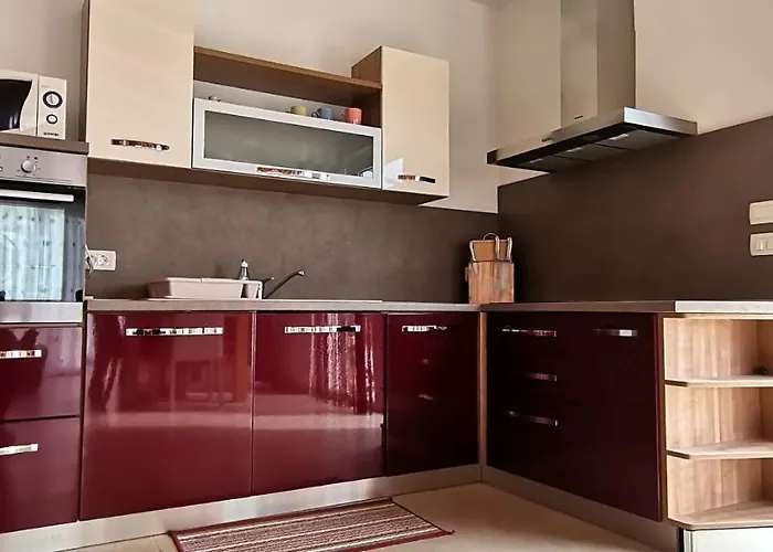 House Olly רוביני