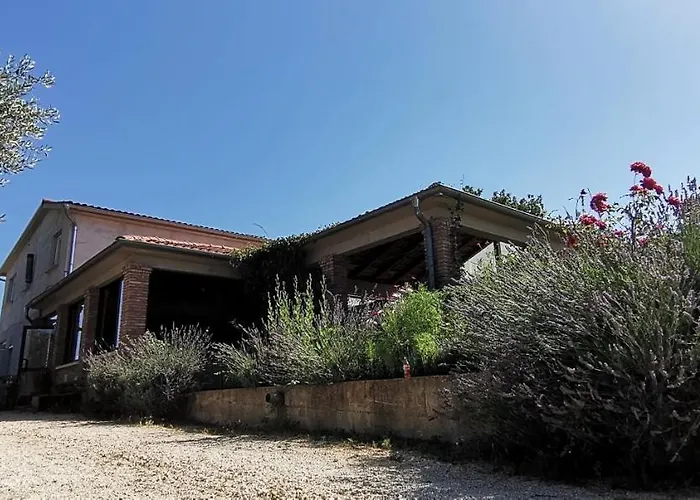 House Olly בית נופש